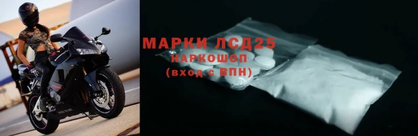 прущие грибы Краснотурьинск
